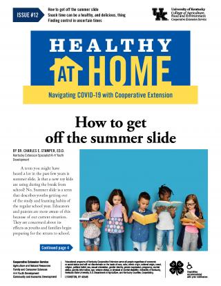 Front page of Healthy At Home newsletter issue 12, click the link for a PDF