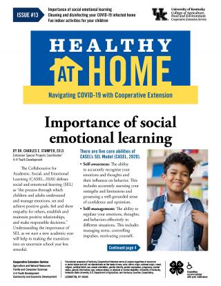 Front page of Healthy At Home newsletter issue 13, click the link for a PDF