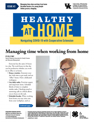 Front page of Healthy At Home newsletter issue 2, click the link for a PDF